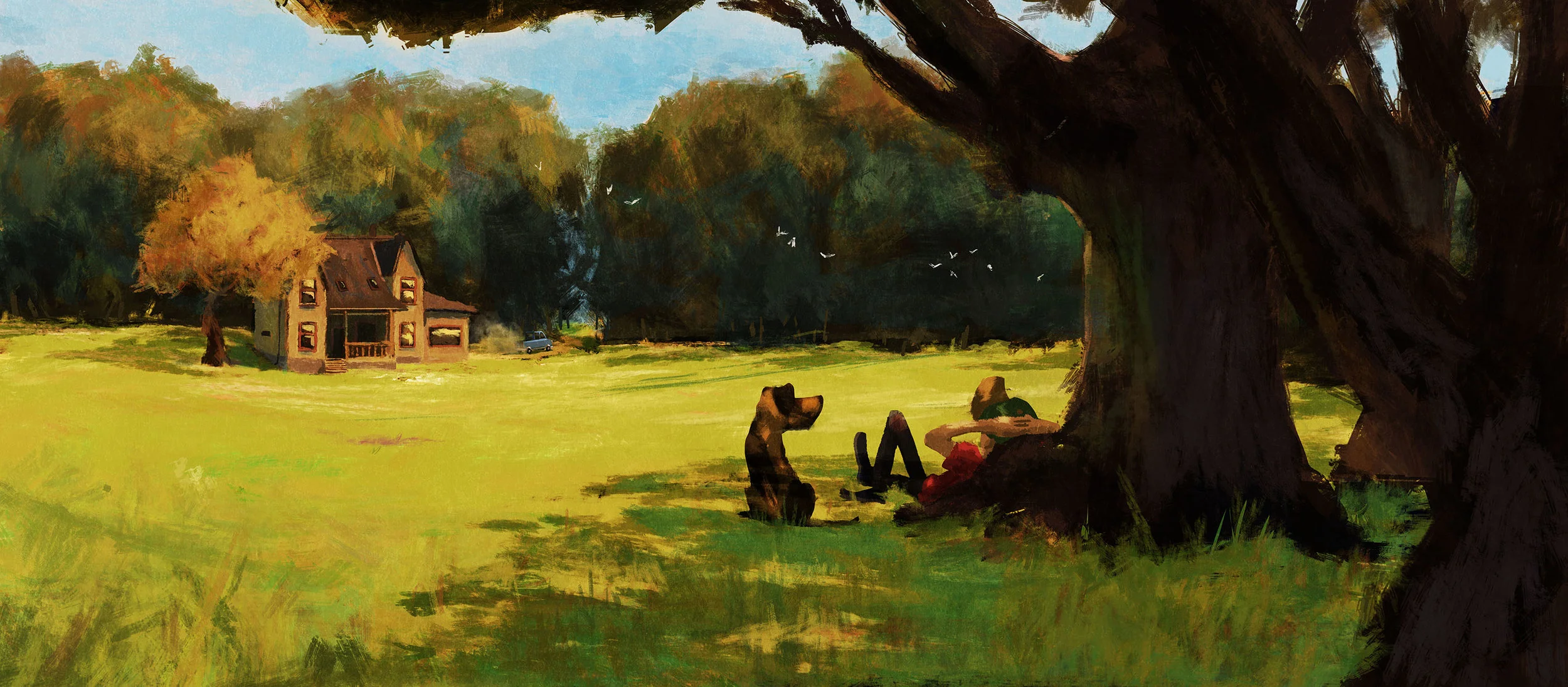 field.jpg