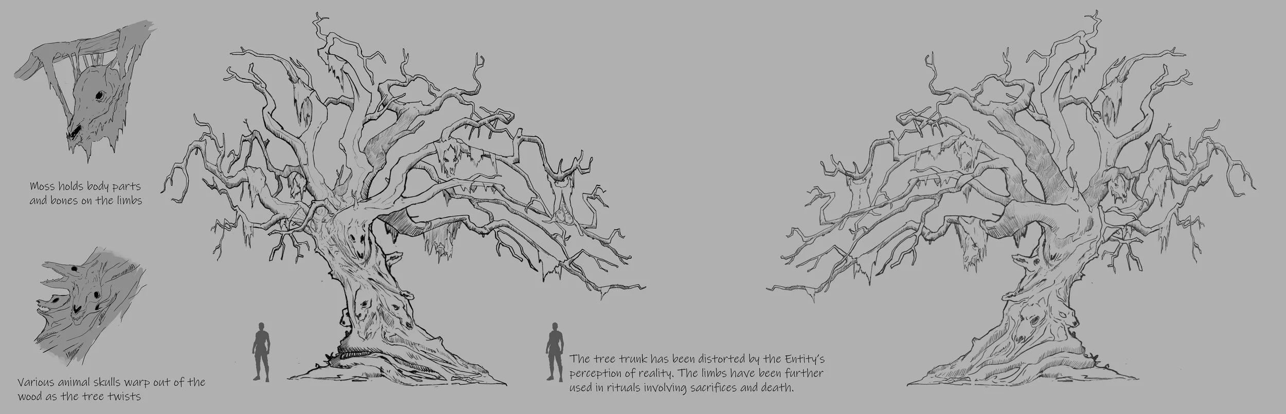PROP_20240530_tree_line_drawing2.jpg