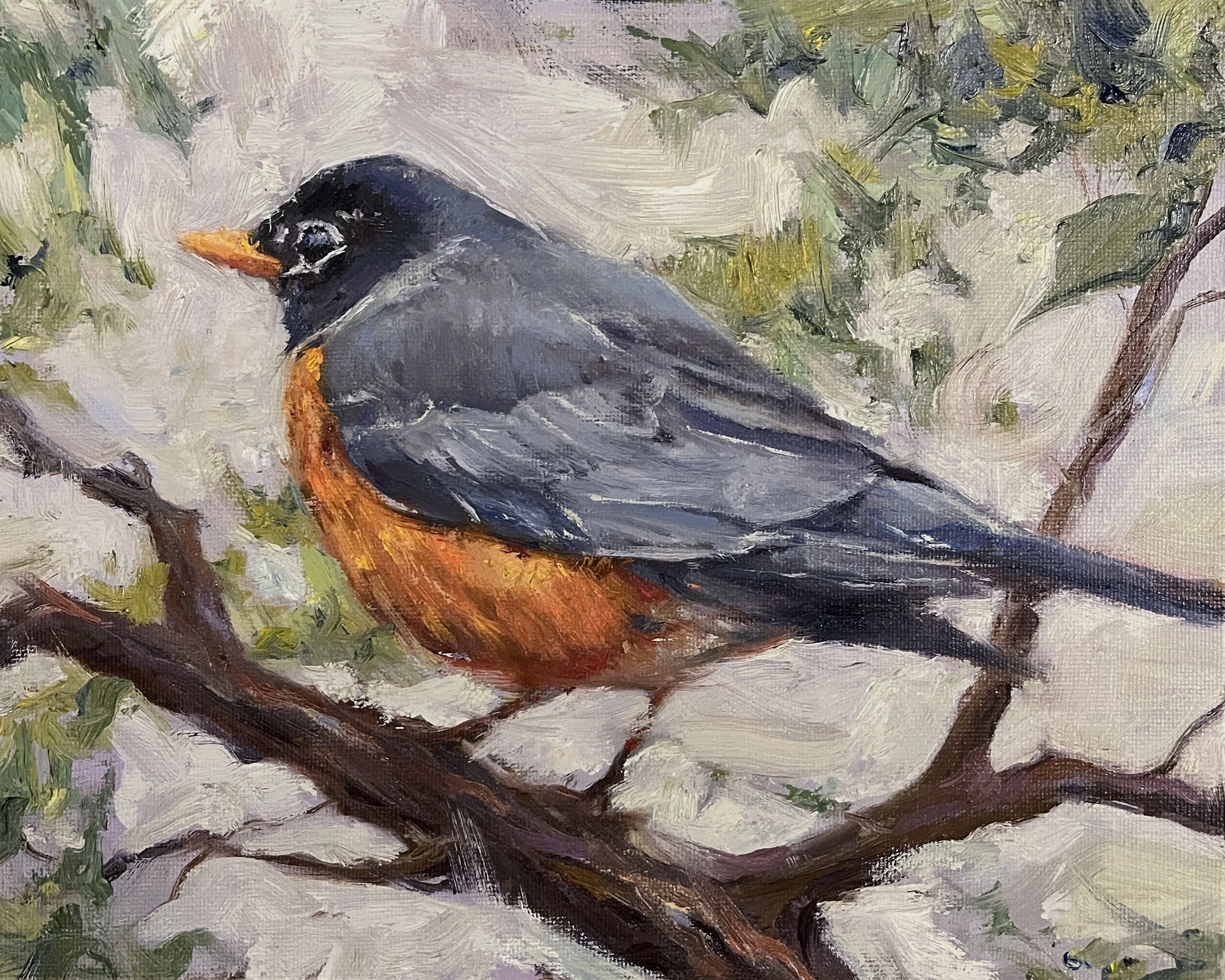 Riley_Frambes_American_Robin_8x10.jpg