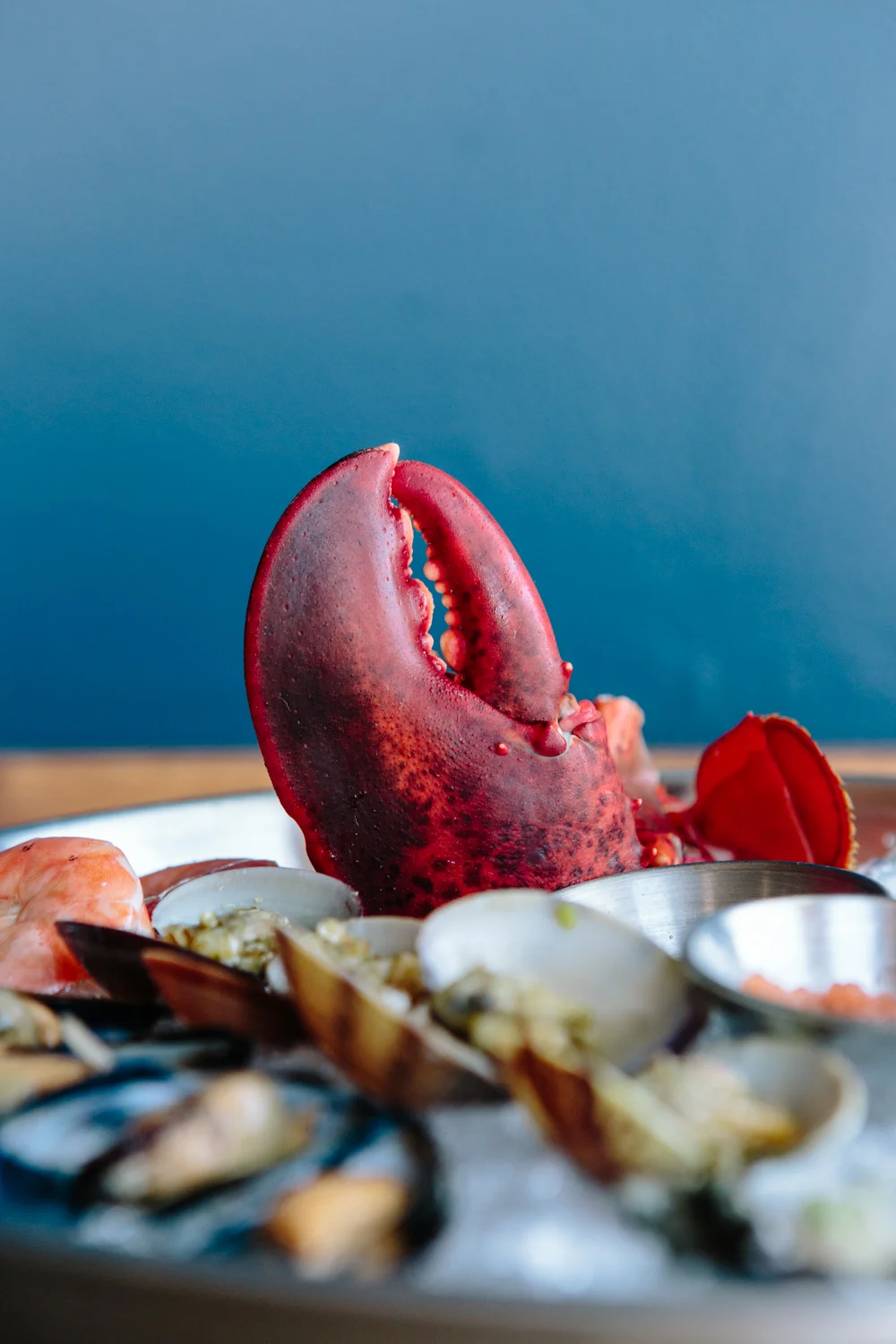 Ichi Sushi Seafood Platter by Kimberley Hasselbrink