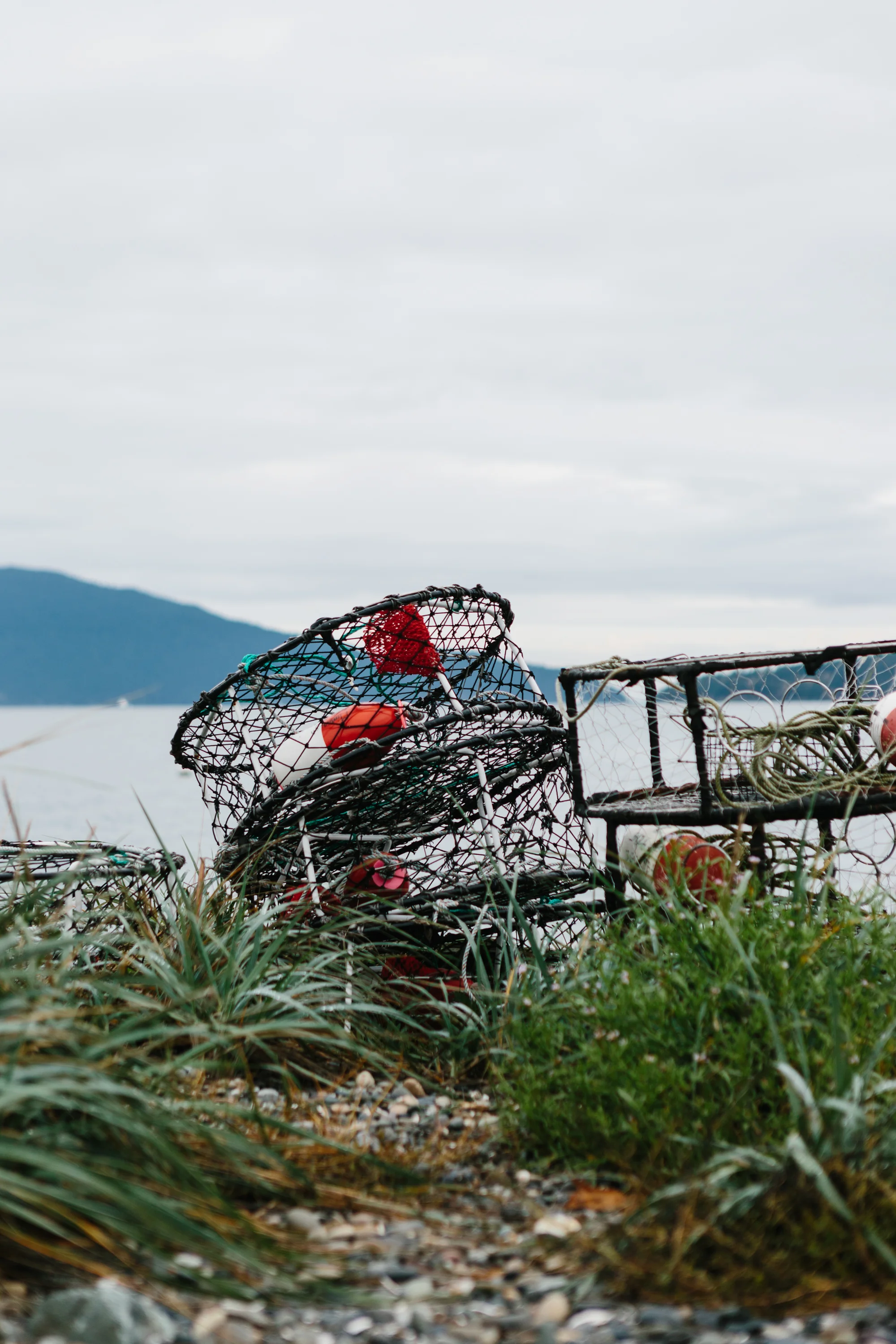 Crab Pots by Kimberley Hasselbrink