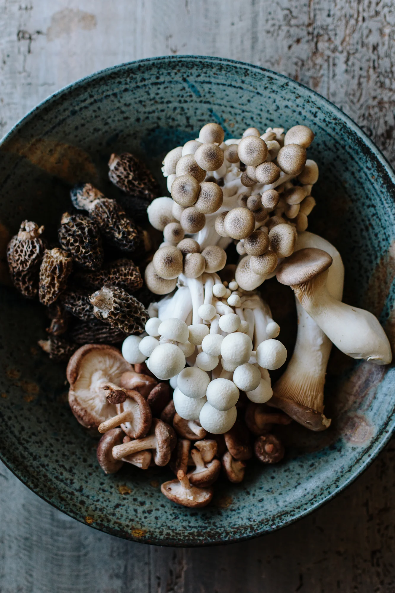 Mushroom Still Life by Kimberley Hasselbrink
