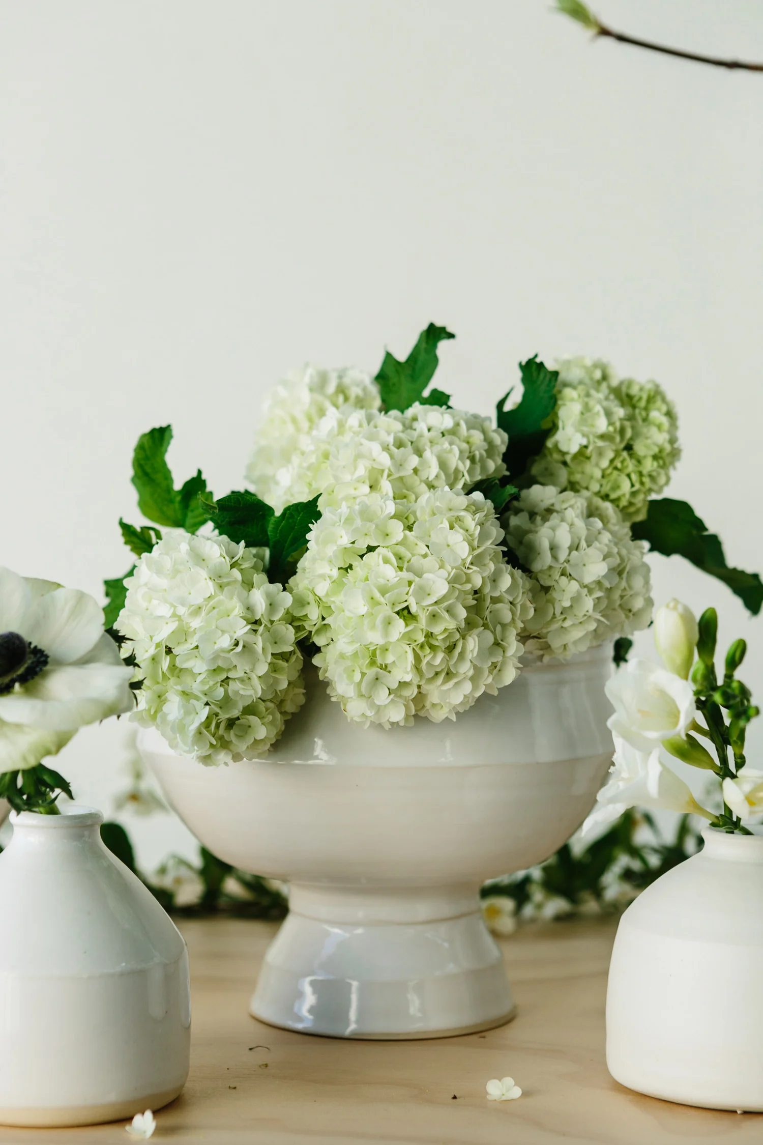Still Life by Kimberley Hasselbrink