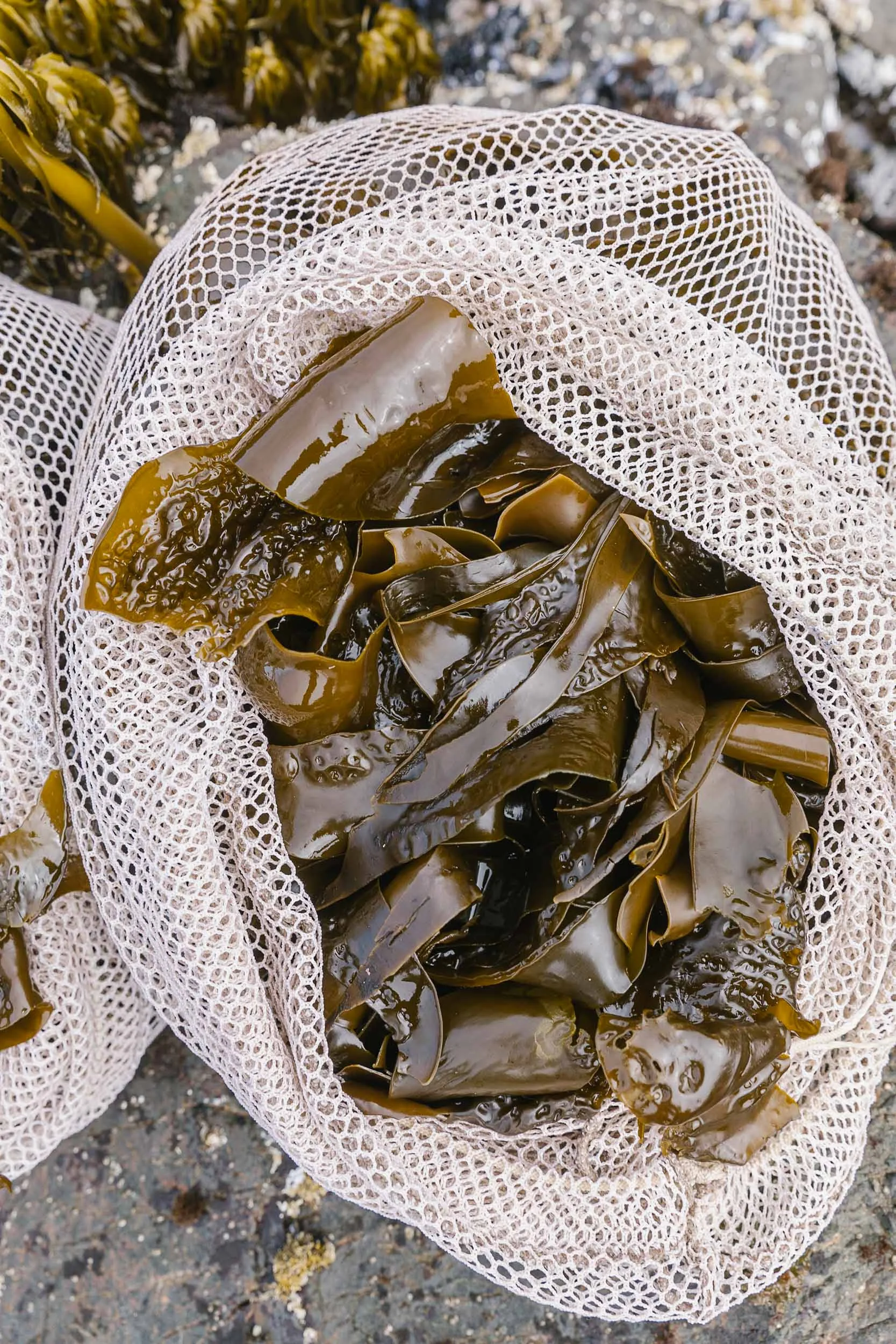 © Kimberley Hasselbrink 2019-3428.jpg