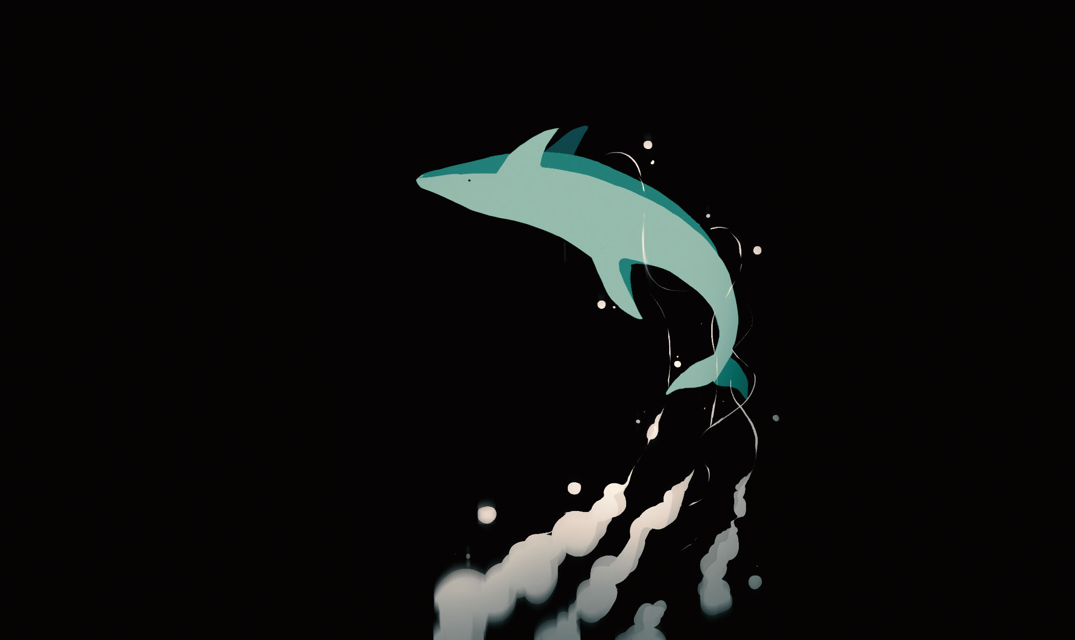 DOLPHIN FLIP.jpg