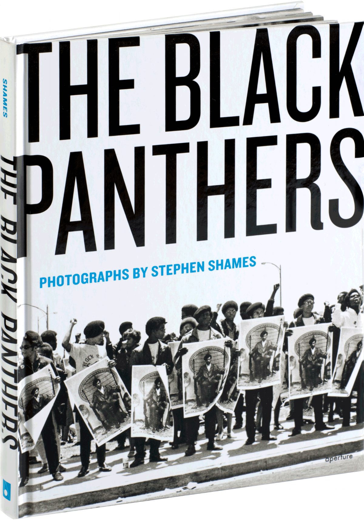 Books-Panthers-C.gif