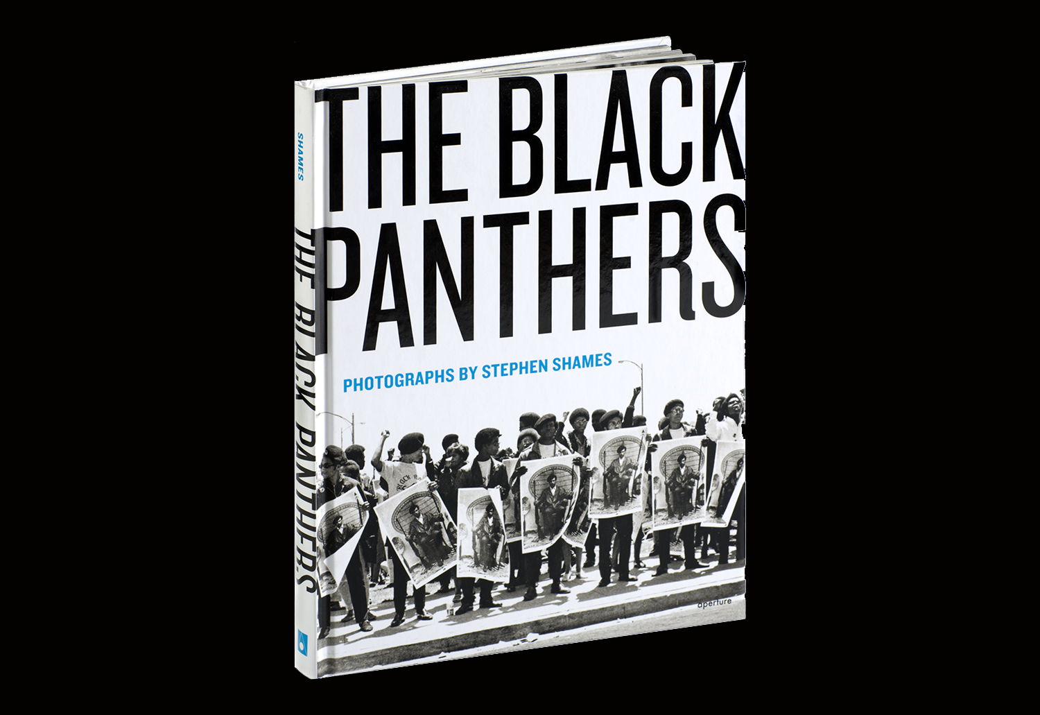 Books Panthers C2.png