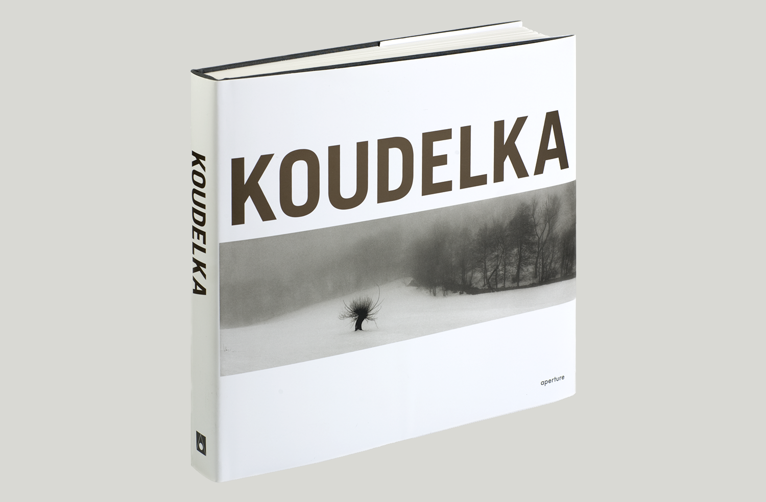 Books Koud C2.png