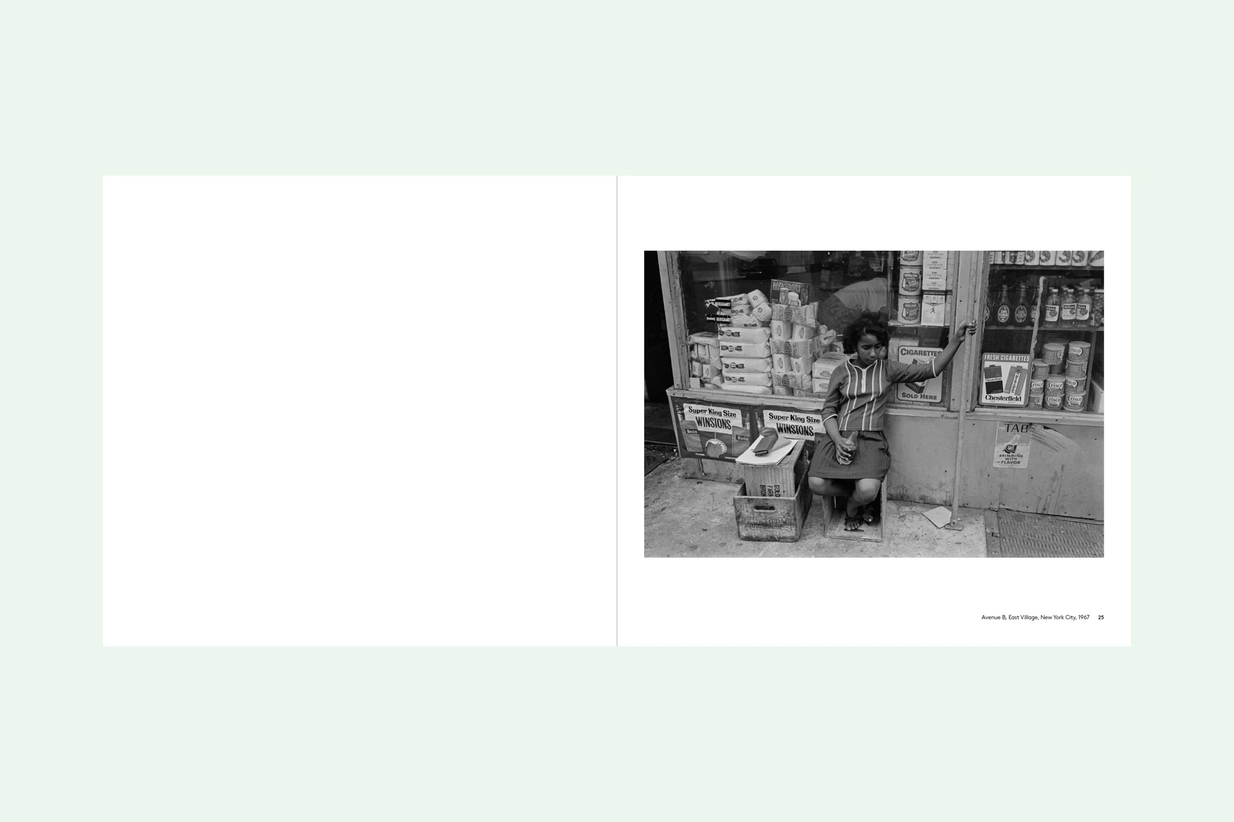 LivesOFOThers BOOKonBackground4.jpg