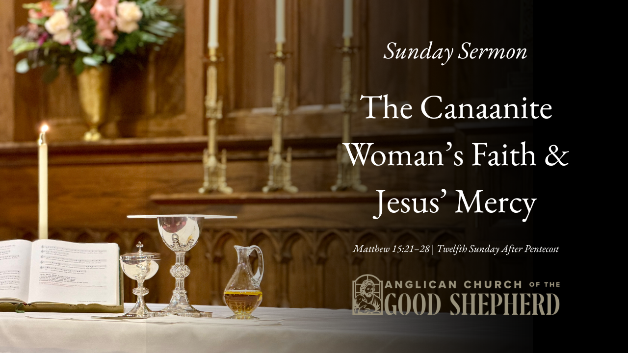 The Canaanite Woman’s Faith &amp; Jesus’ Mercy | Matthew 15