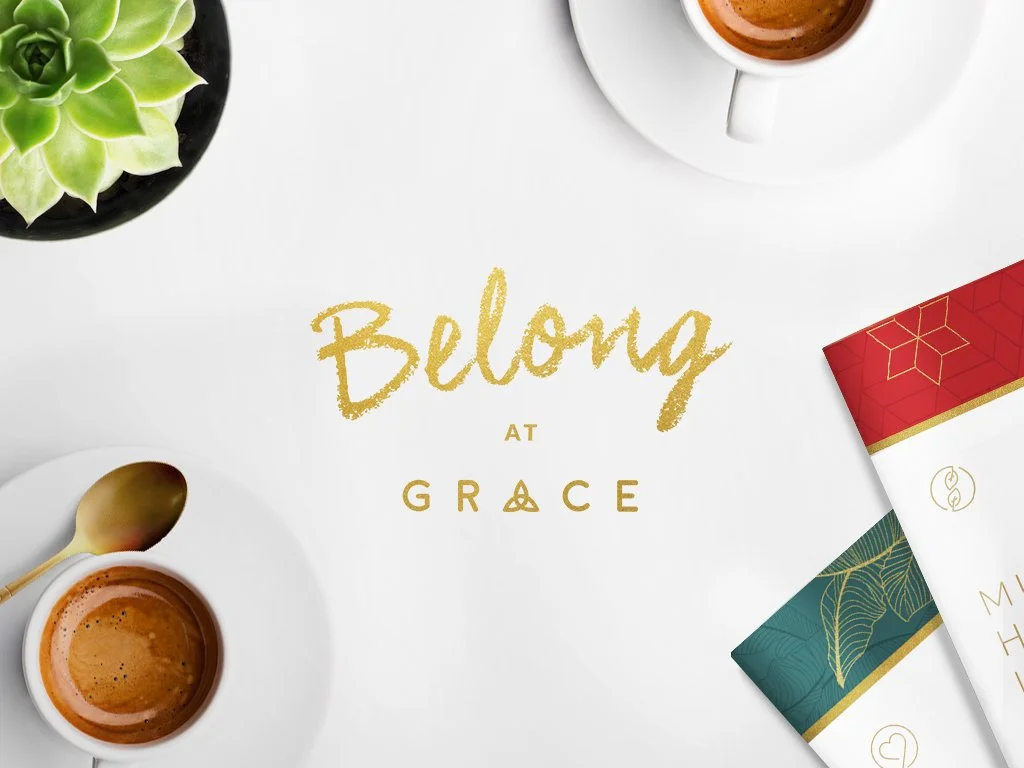 Porcupines in Winter