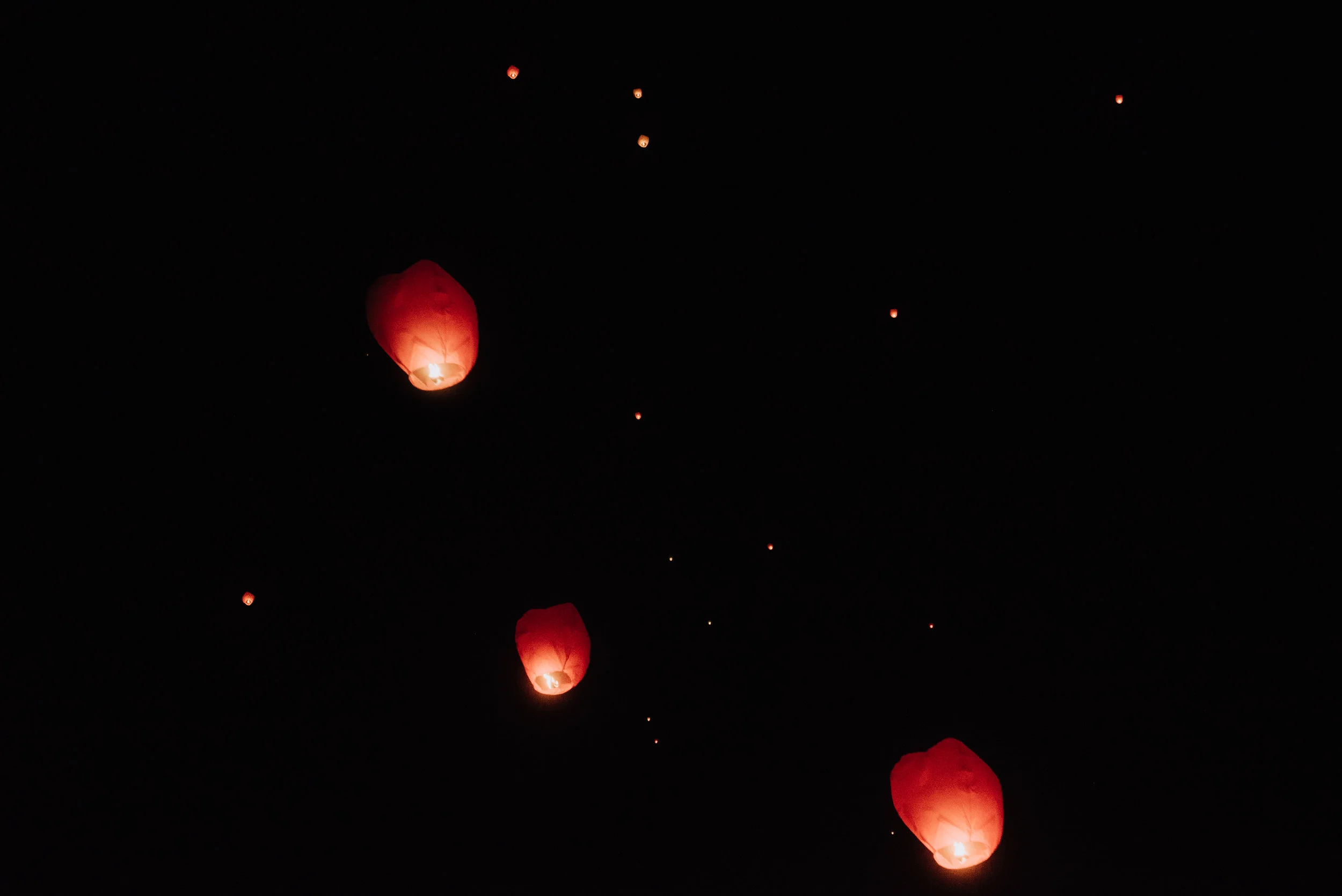 DSC_6166-2.jpg
