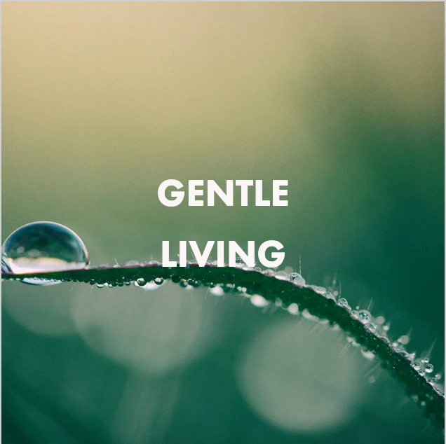 Screenshot 2026-02-23 at 1.11.42 PM.png