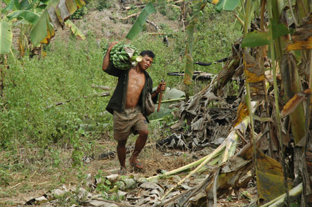 Societies and Ecologies