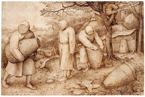 ANTH 482 - Anthropology and the Environment: Culture, Power and Politics