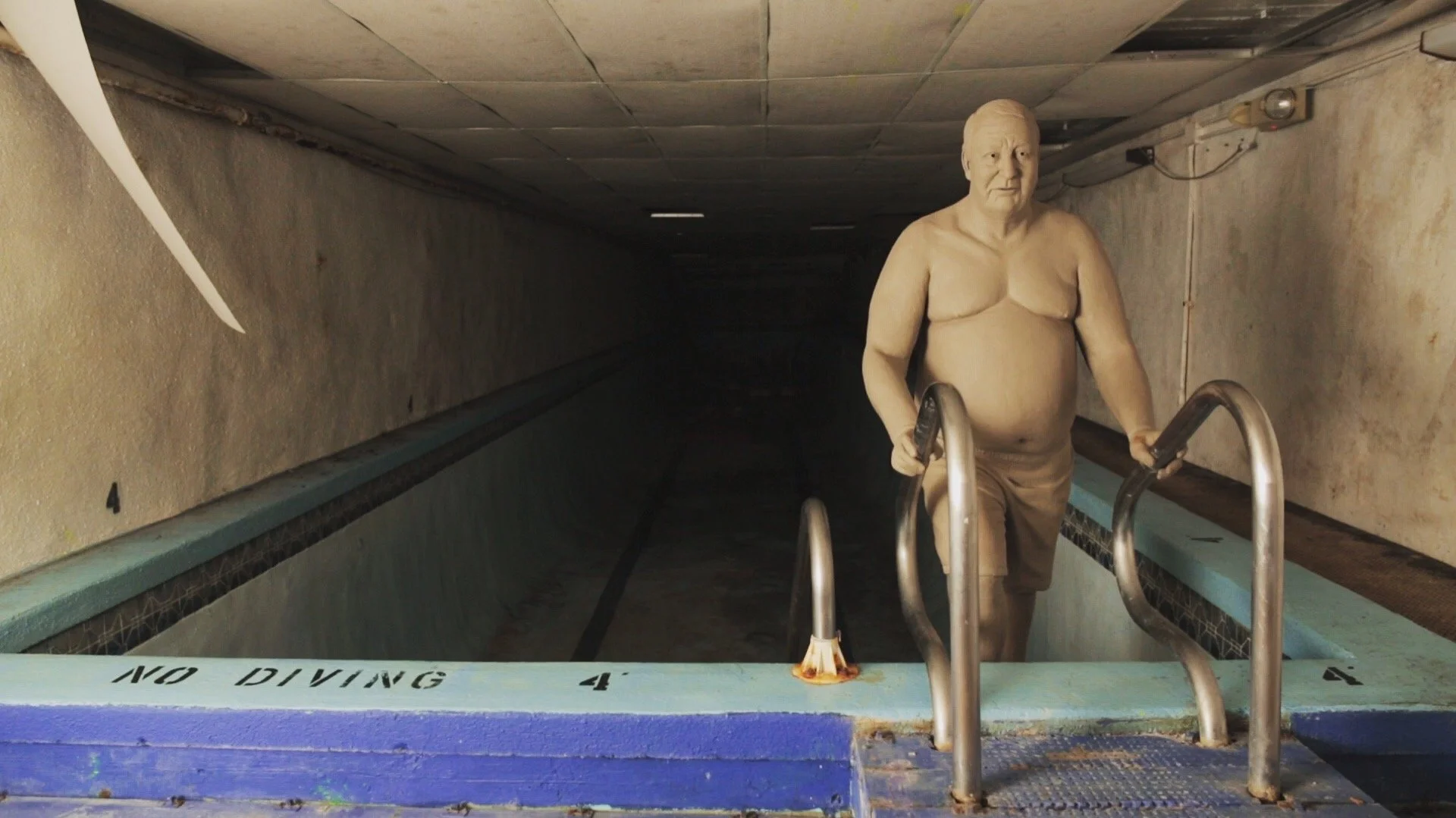 The Birdsell Project | Summer 2016 (10:57)