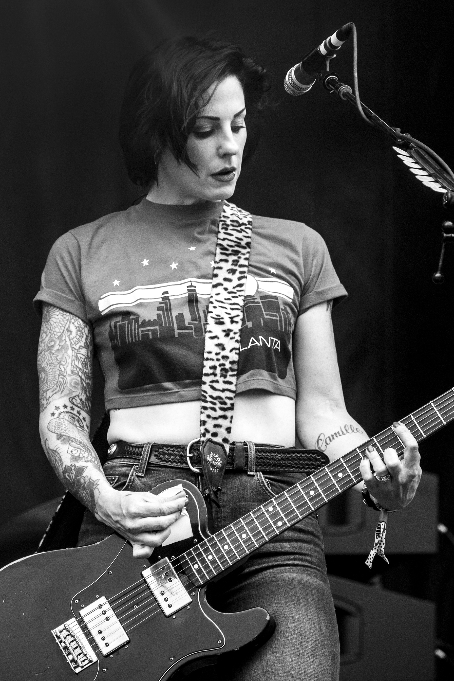 The Distillers