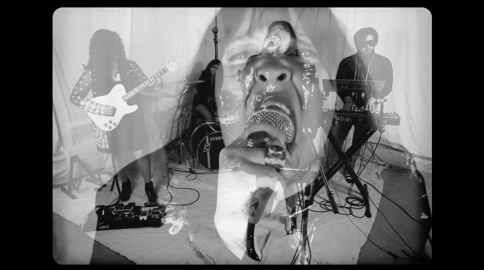Sunbuzzed - ACAN (Live) 