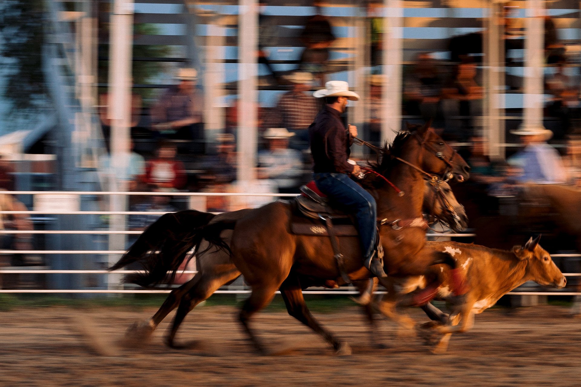 JH-commercial-western-rodeo-photographer-12.jpg
