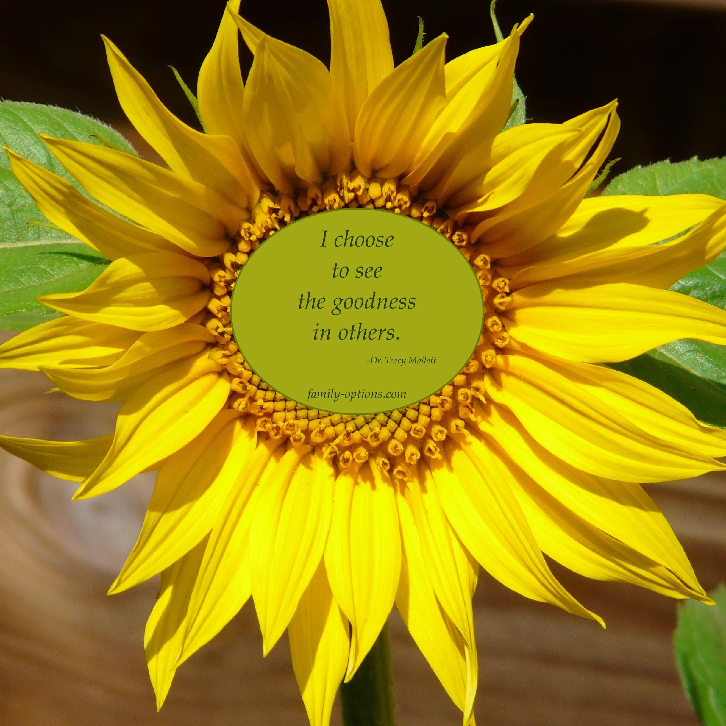 Goodness in others