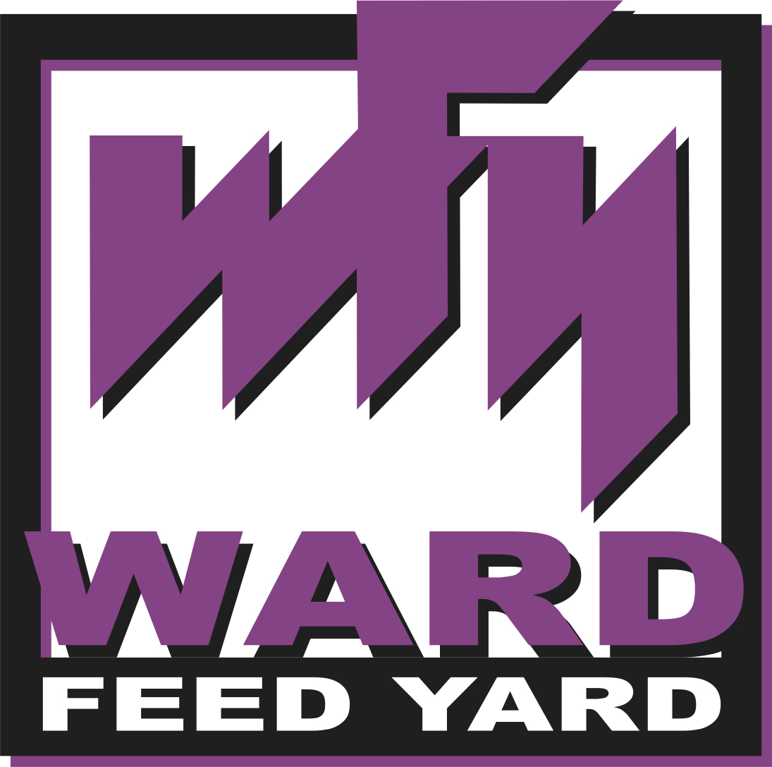 WARD FEED YARD.jpg