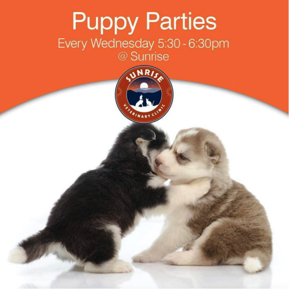 Puppy Party.png