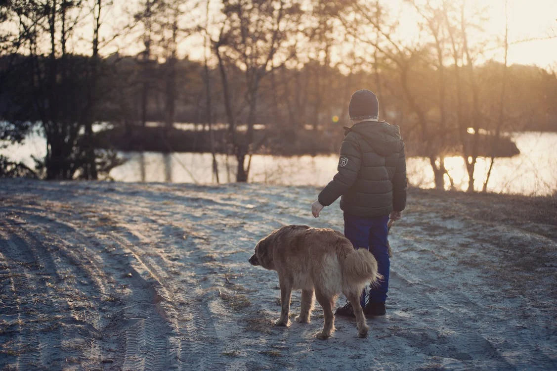 winter pet.jpeg
