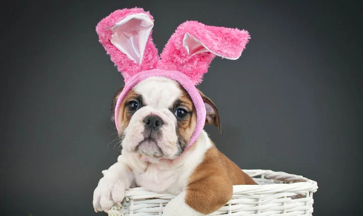 easter.jpg