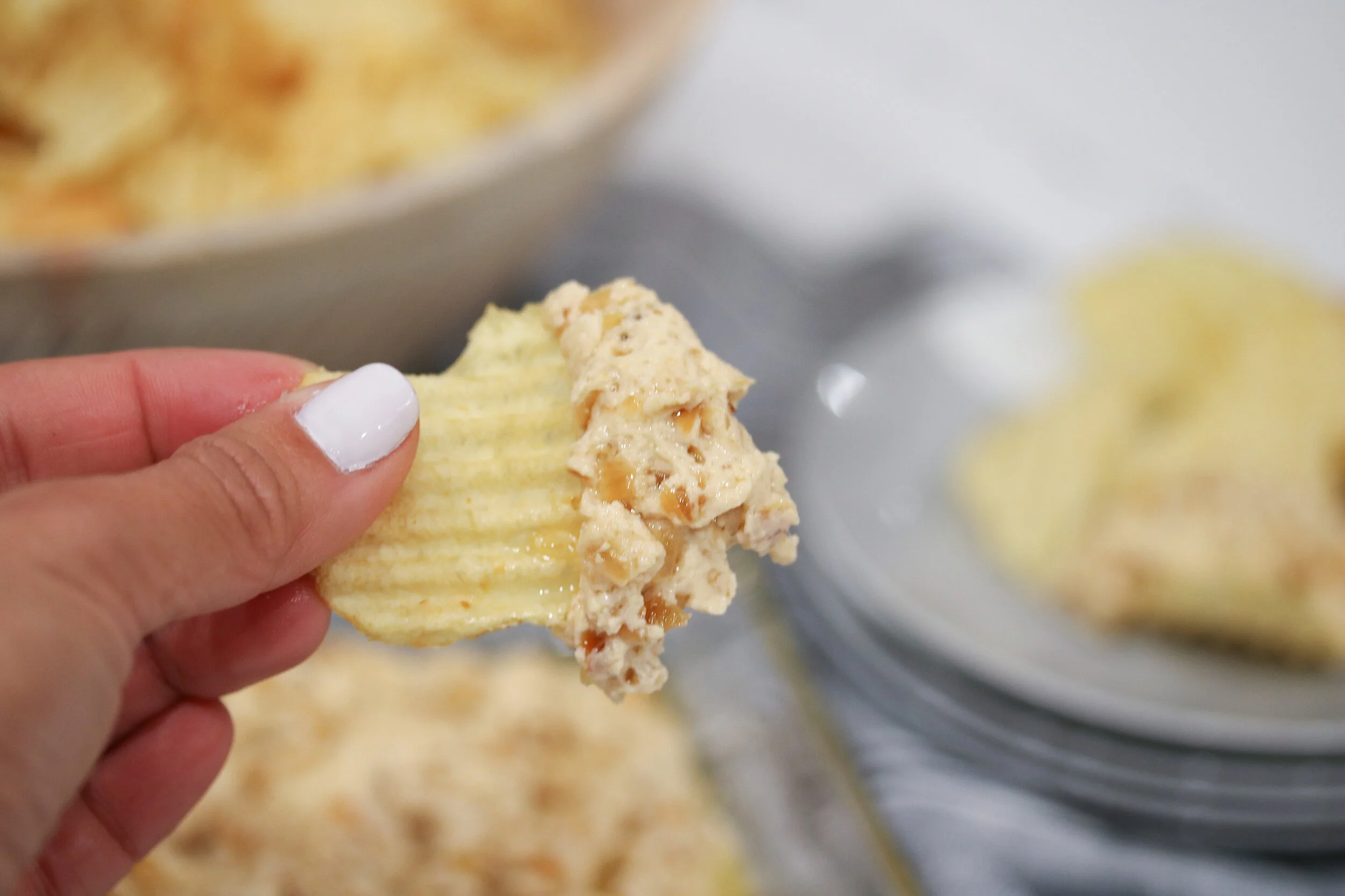 Caramelized Onion Dip