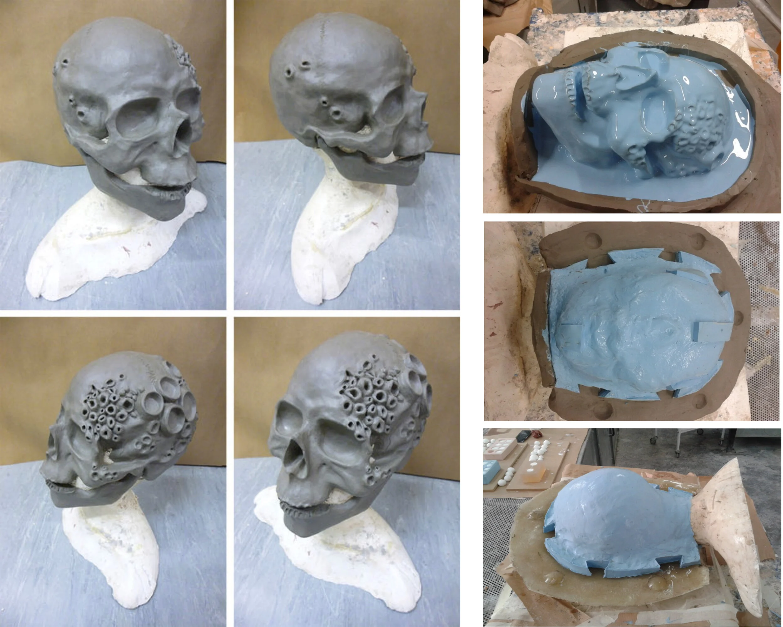 Skull mould + sculpt.jpg