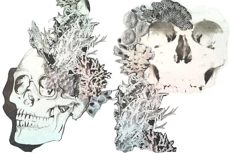 Coral%252BCollage.jpg