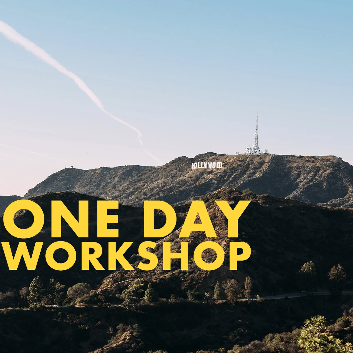 One-Day Nutshell Technique Workshop:  July 13, 2019