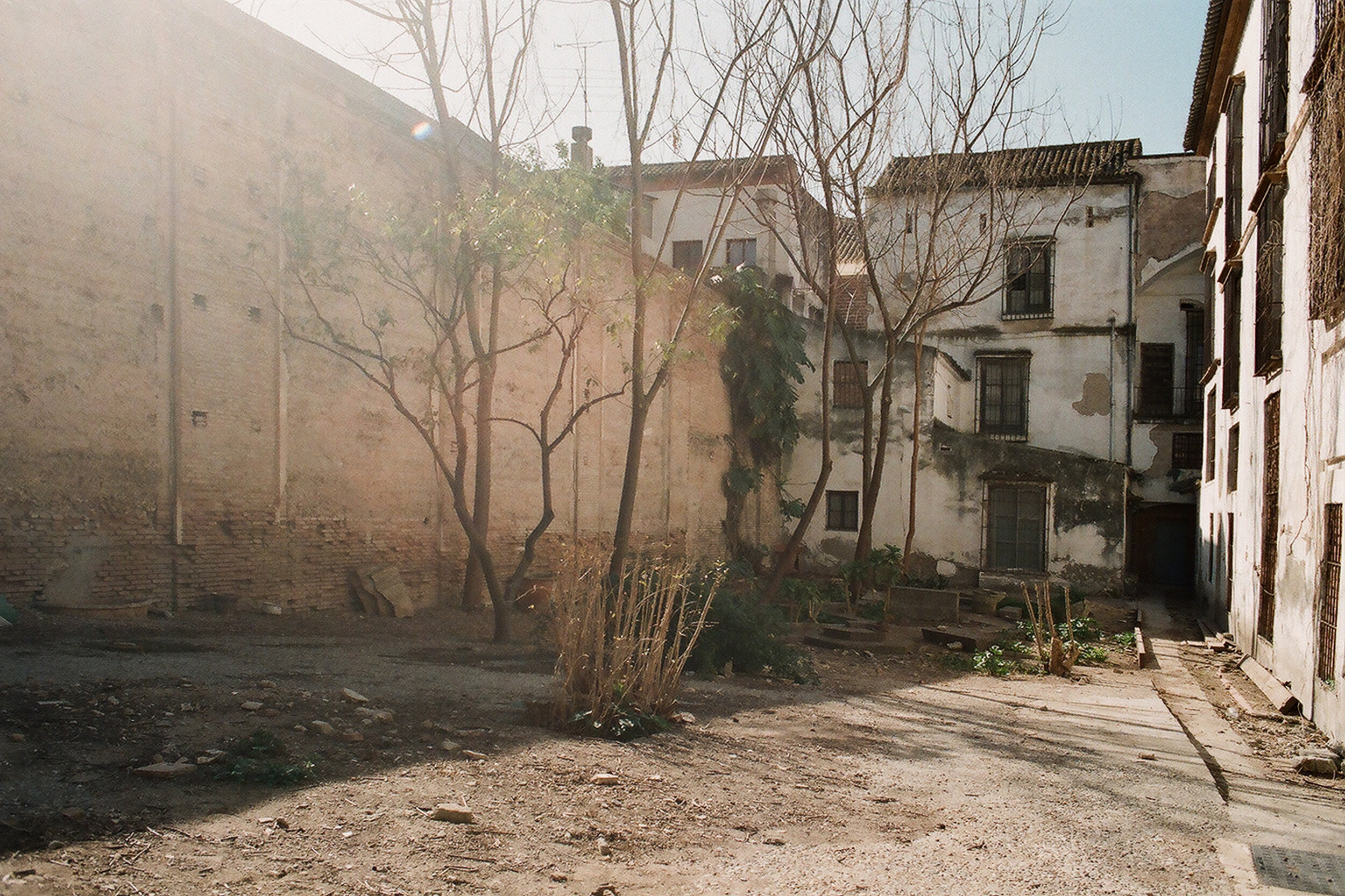 JARDIN10.jpeg