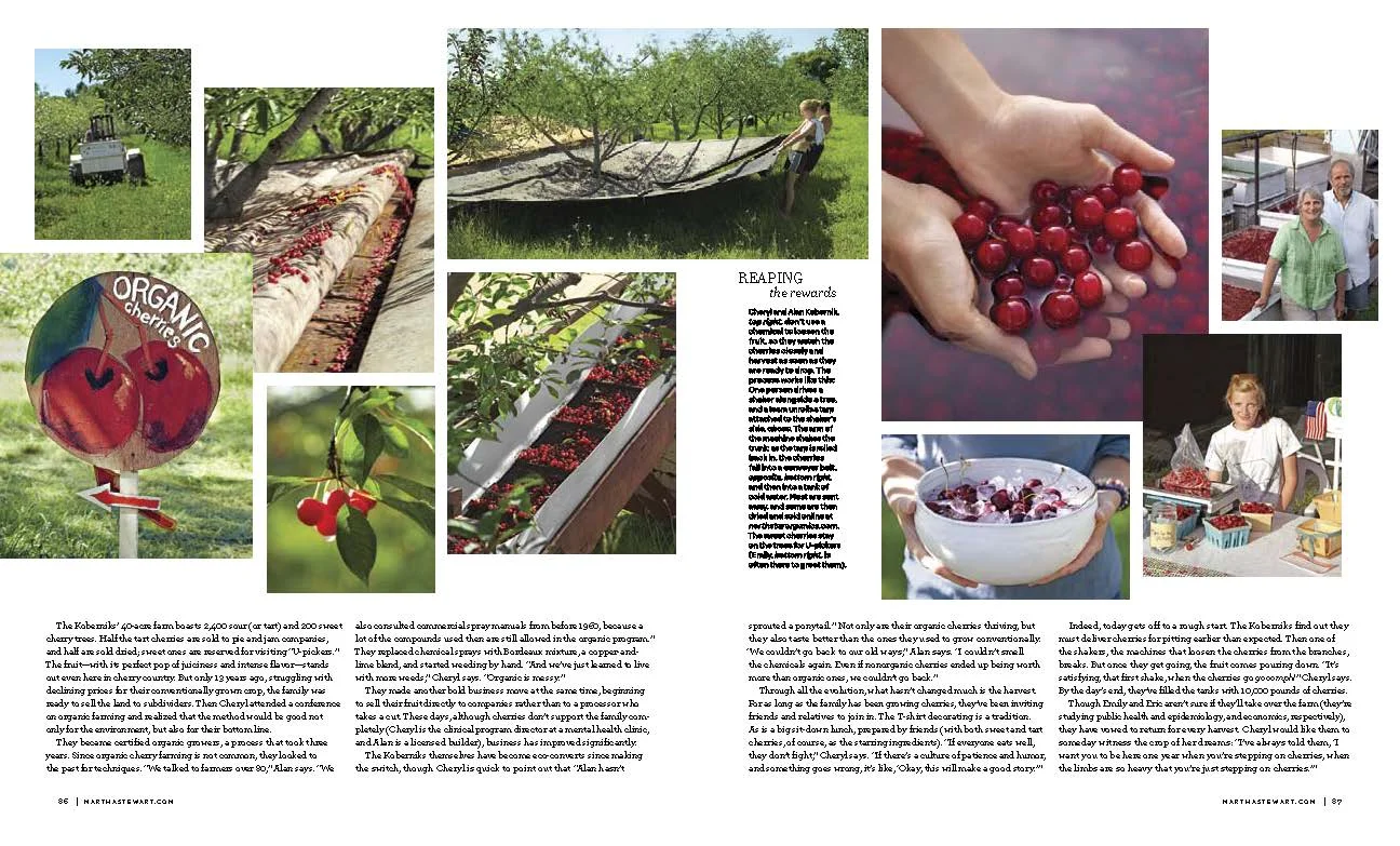 Cherries-MSL_Page_2.jpg