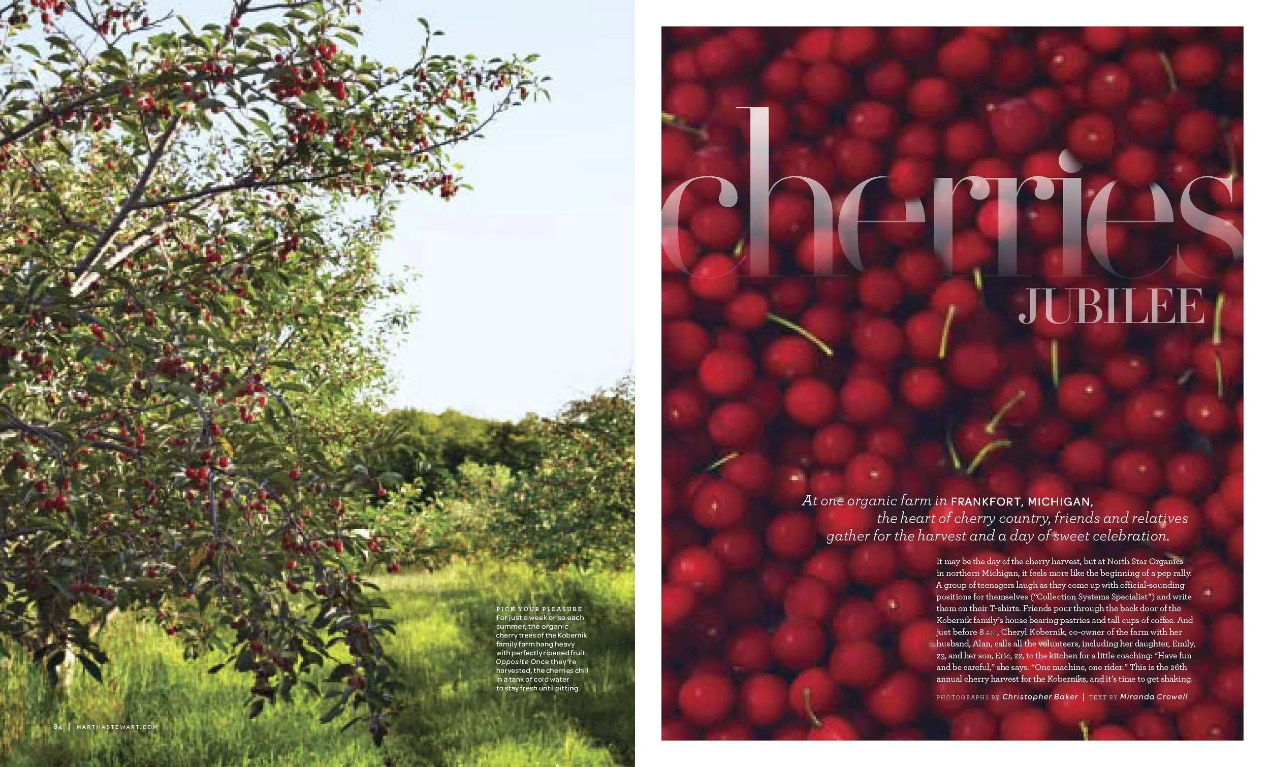 Cherries-MSL_Page_1.jpg