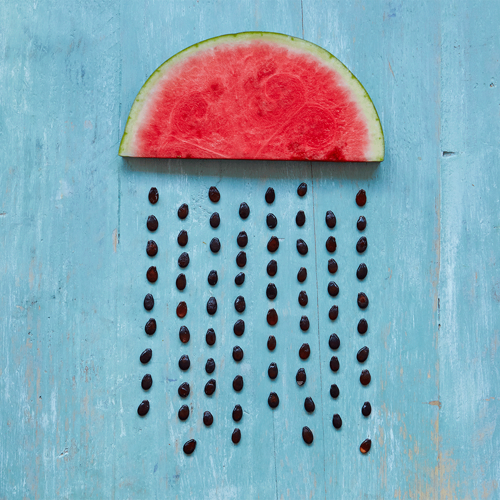 watermelon-Animation1000x1200.gif