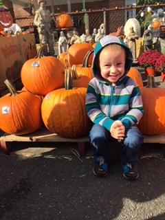 pumpkin picking 2016