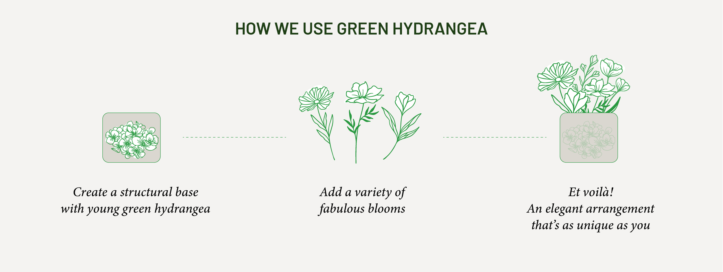 Mechanics of how we use a Green Hydrangea in our bouquets