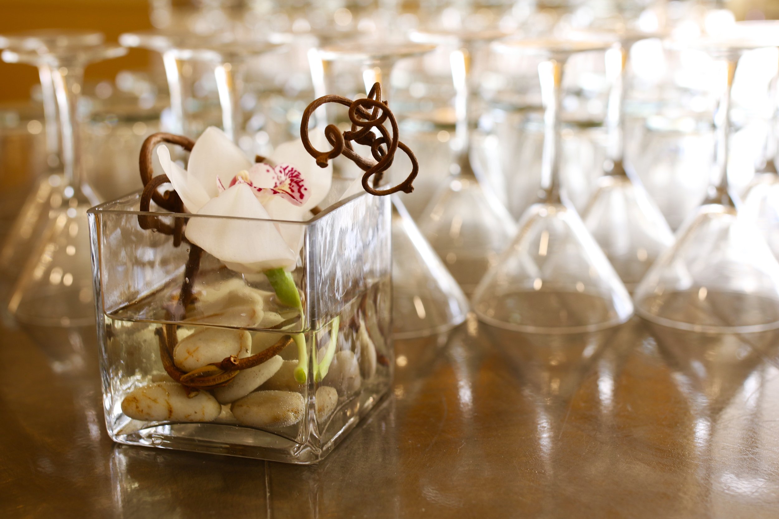 One white flower anchored by rocks in a square vase next to a display of martini glasses.