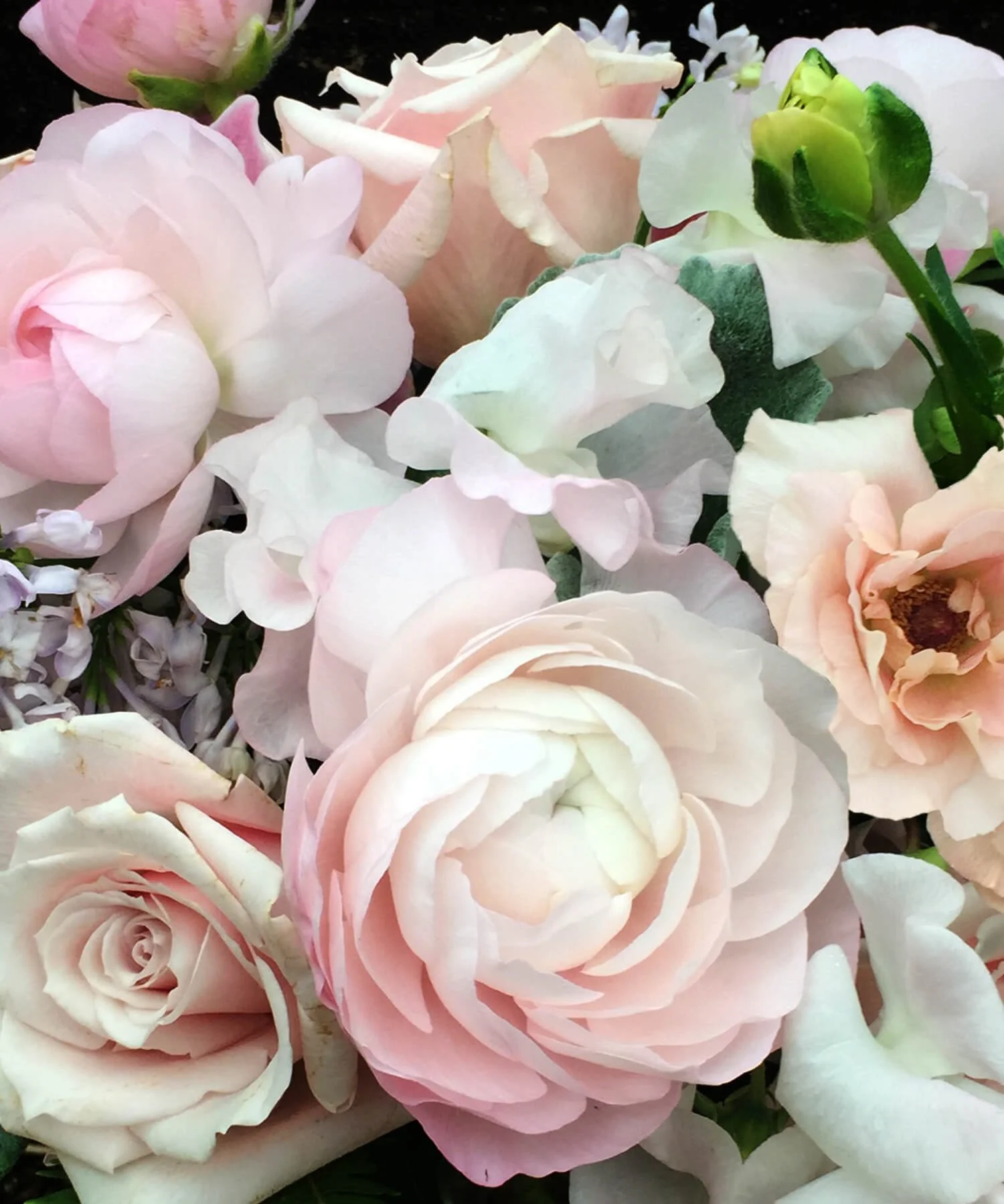 Send Pastel flowers from Green Hydrangea Flowers