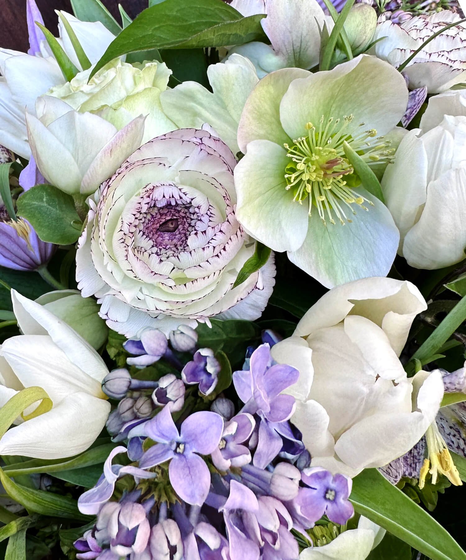 Lilac