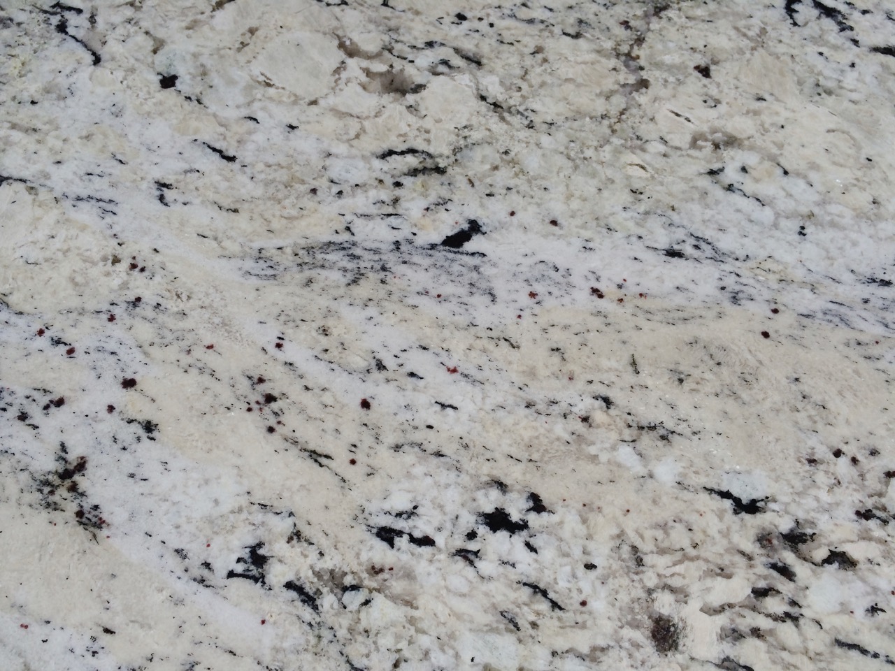 Delicateus Granite
