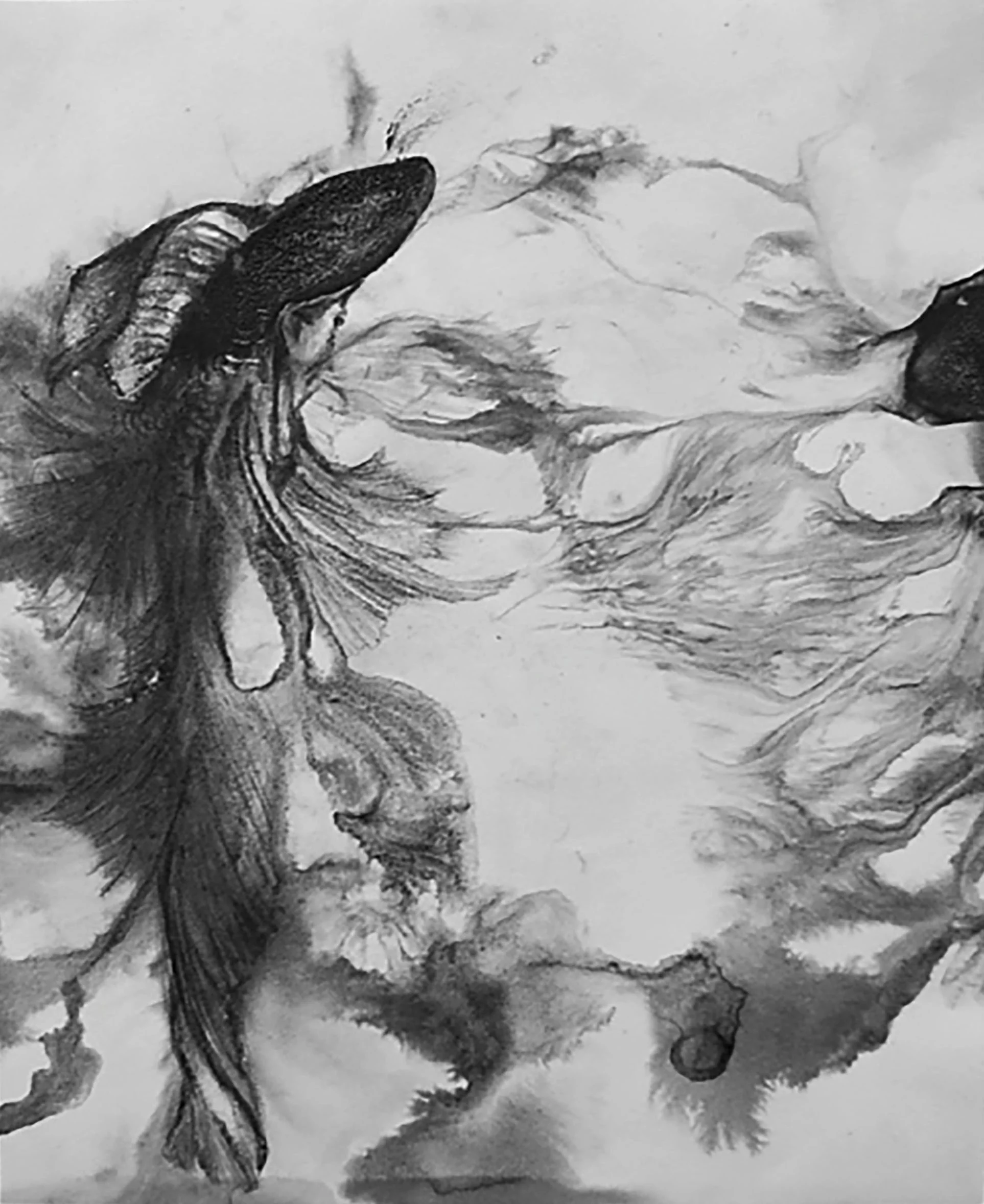 Flow Fish, 2013