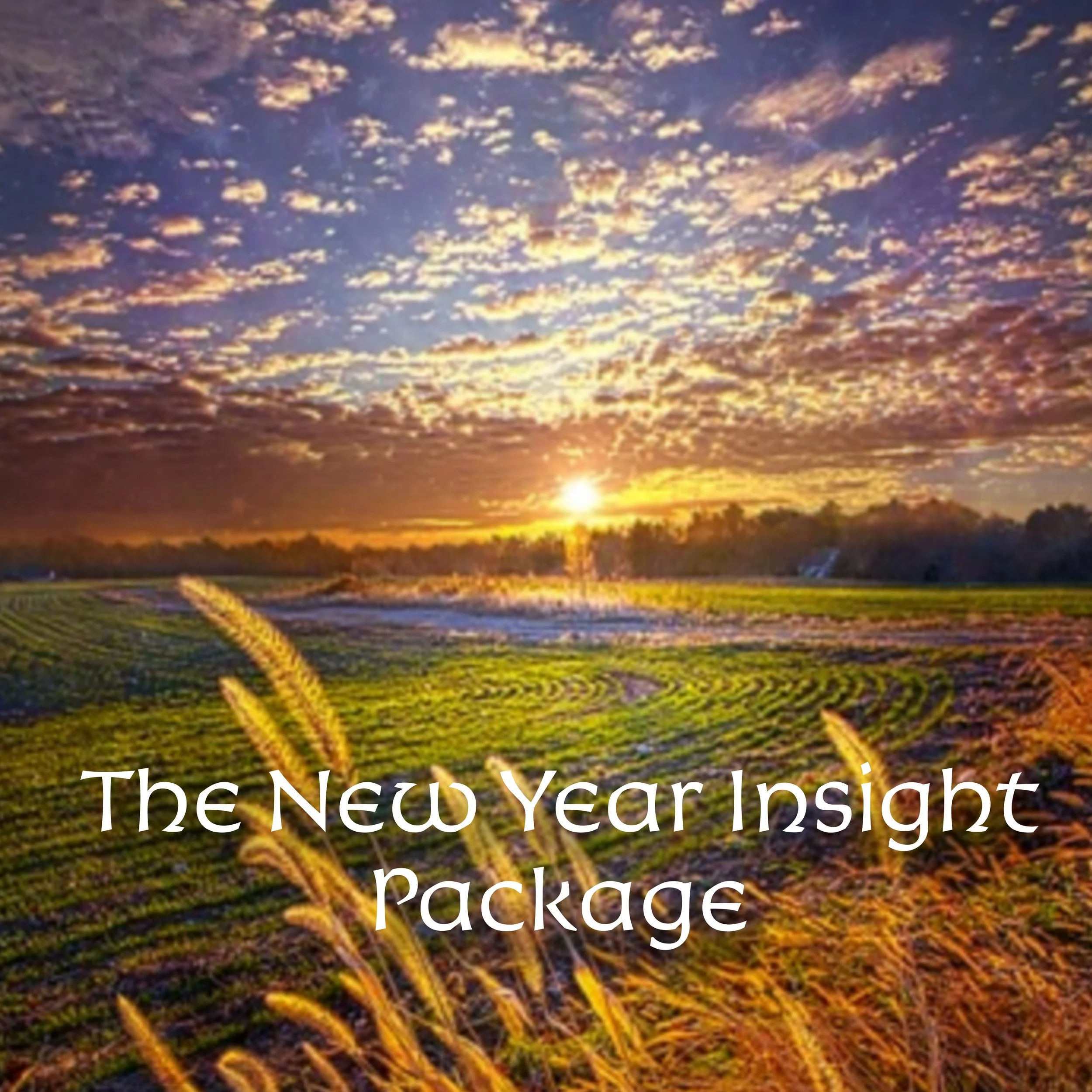 The New Year Insight Package