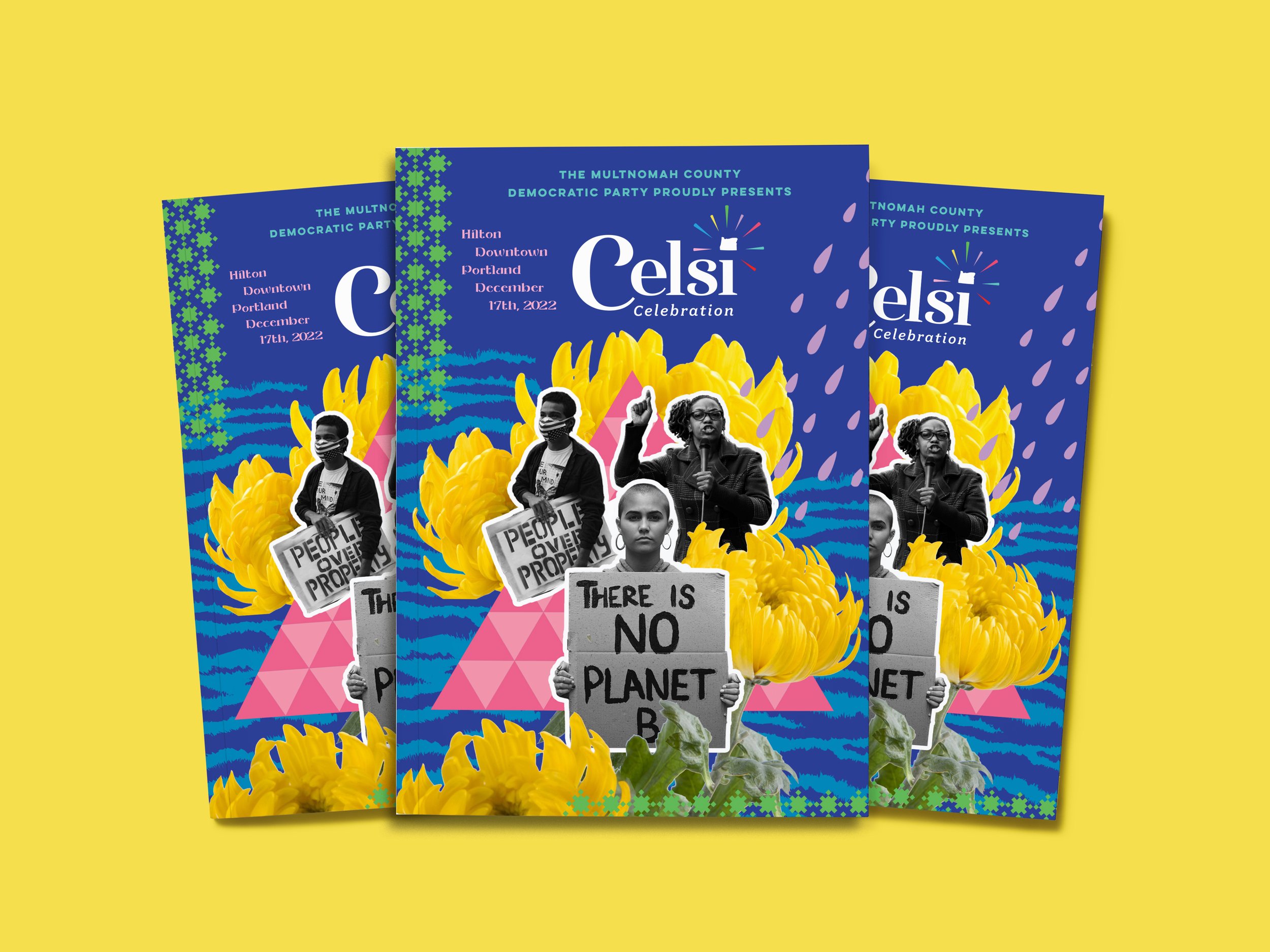 Celsi-Cover-Mockup.jpg