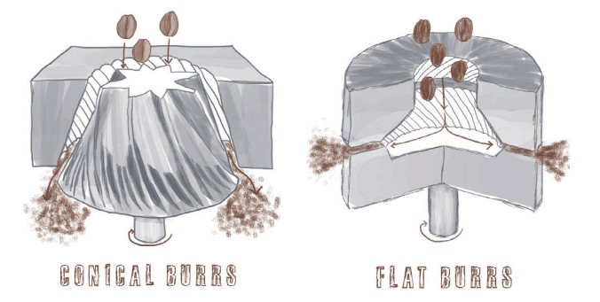 Selecting a Burr Type for an Espresso Grinder — Coffee Technicians Guild