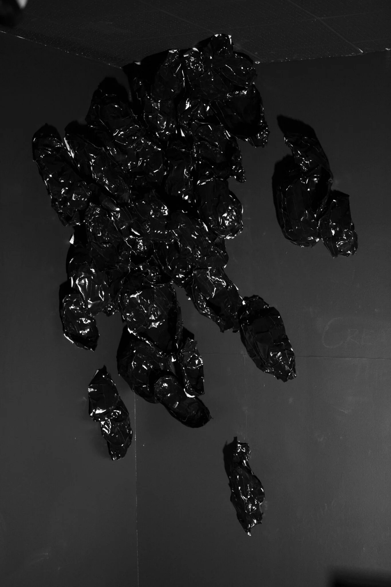p10.jpg