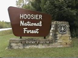 The best campground in the Southern part of the forest is North Face campground at Celina Lake recreation area. 