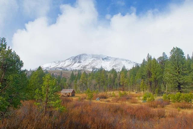 Winter exchange near south  Lake Tahoe  #truewest#truebeauty#skydancer#naturalight#nature#snowcapped#laketahoe#Fall#California#sierranevada#kirkwood