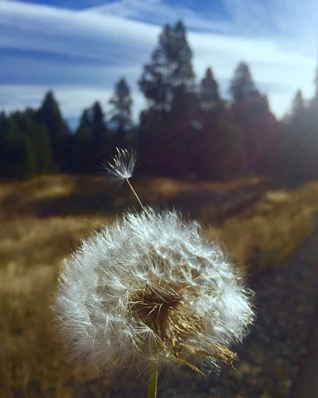 Make a wish.  #forgive#life#hurtheart#mountain#wishfulthinking#chasingdreams